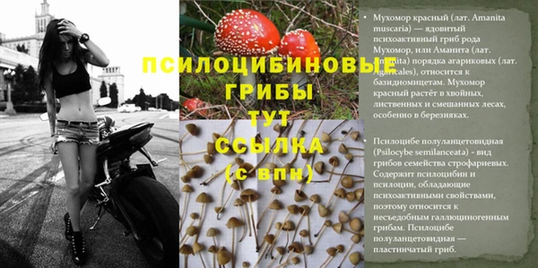 марихуана Медвежьегорск