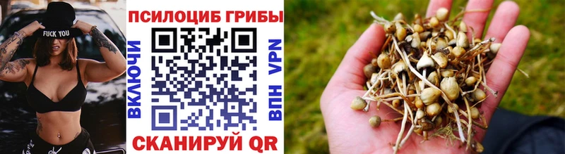 Купить закладки  Сызрань  Галлюциногенные грибы мухоморы 